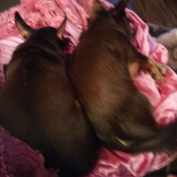 Meet your Posher, !Beth - Picture 8 of 8